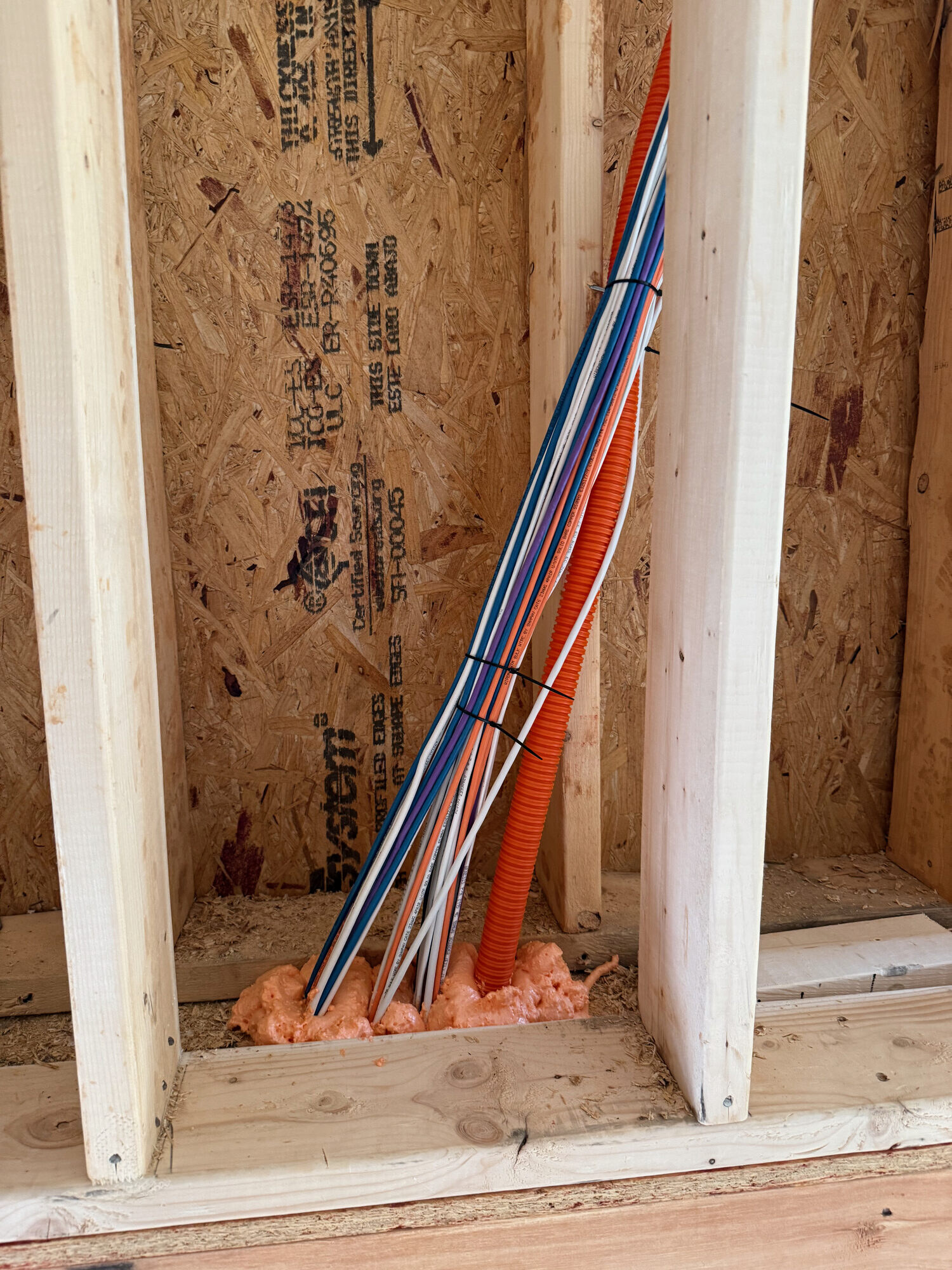 Low-voltage structured cabling roughed in through stud framing before drywall