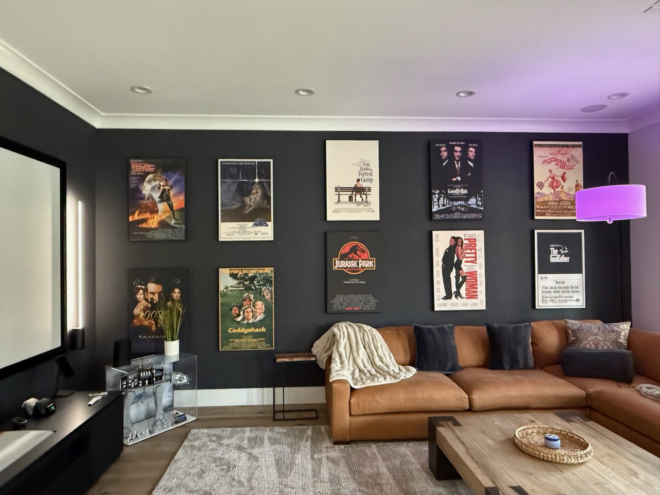 Control4 media room installation in Raleigh with a projection screen and leather sectional